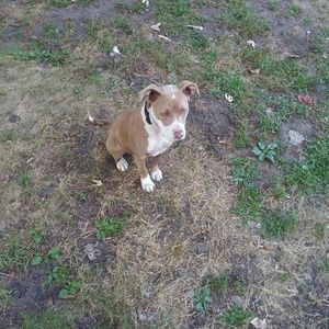 Meet your Posher, Terrence